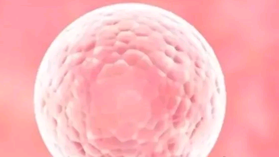 hiv可以生宝宝吗女性,新生NewBorn试管婴儿中的洗精是什么？