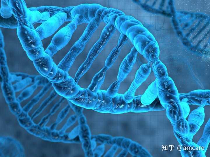 北京助孕套餐hiv费用多少钱,基因编辑婴儿诞生，感染HIV通过三代试管生育健康