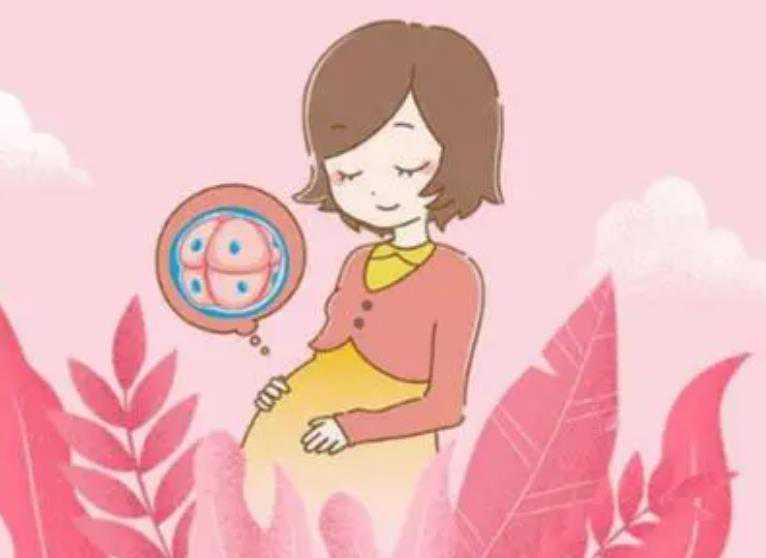 失独母亲群_独生子女家庭失独怎么办_2022年在武汉私立生殖医院做一代试管婴儿